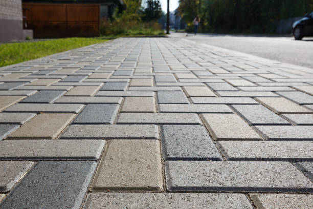 Best Driveway Paving Contractor  in Trenton, MO